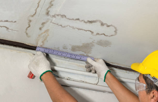 Reliable Water Damage contractor in Divide, CO by Water Damage Irwin